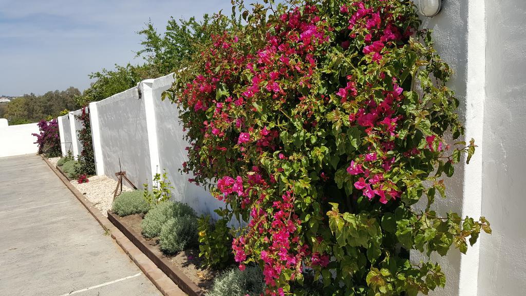 La Posada Del Duende Arcos de la Frontera Exteriör bild