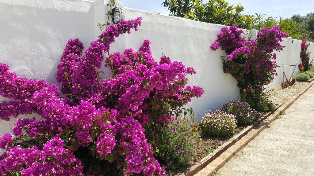 La Posada Del Duende Arcos de la Frontera Exteriör bild