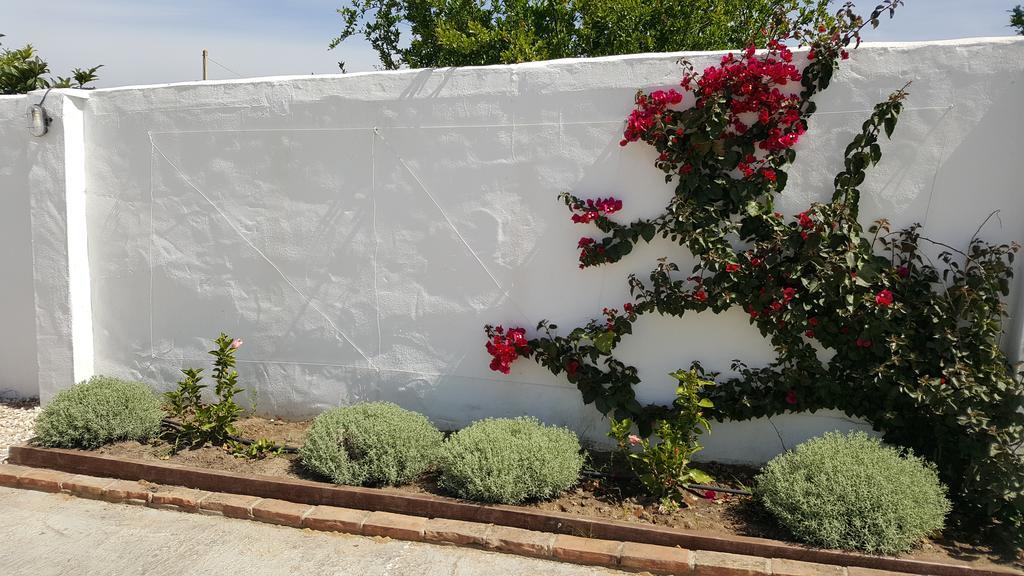 La Posada Del Duende Arcos de la Frontera Exteriör bild